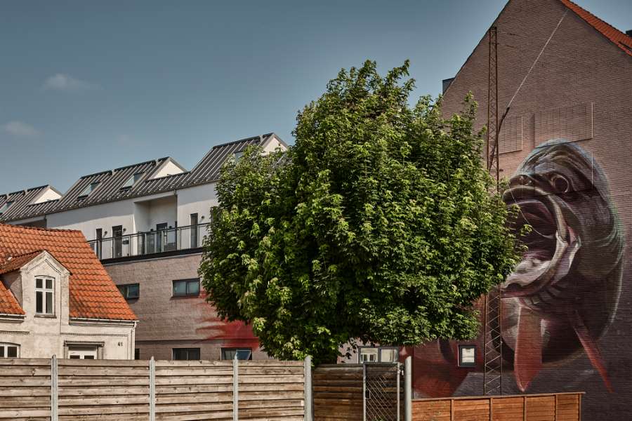 From classrooms to new homes with steel façades and steel roofs, Dannebrogsgade 43, 9000 Aalborg, Denmark